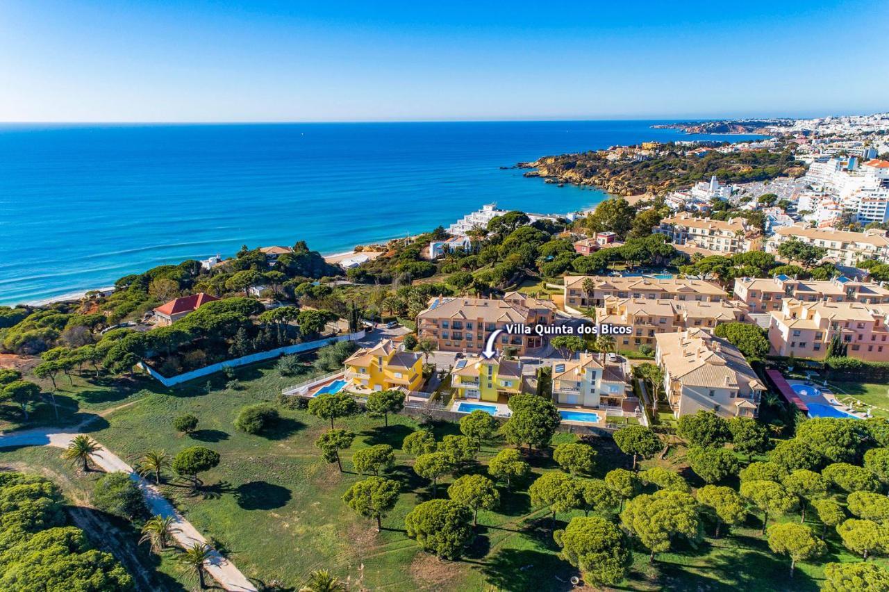 אלבופיירה Villa Quinta Dos Bicos By Villa Plus מראה חיצוני תמונה